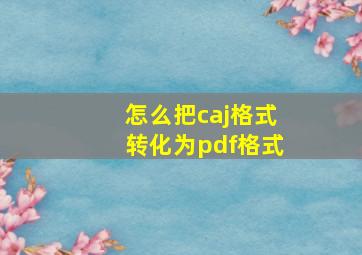 怎么把caj格式转化为pdf格式