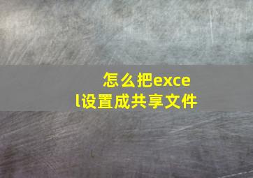 怎么把excel设置成共享文件