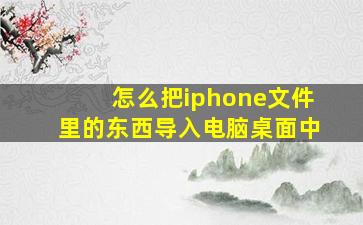 怎么把iphone文件里的东西导入电脑桌面中