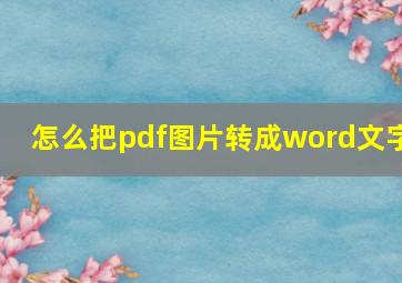 怎么把pdf图片转成word文字