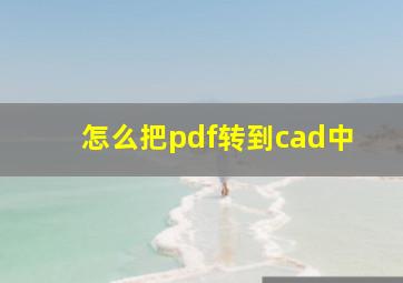 怎么把pdf转到cad中