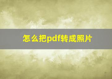 怎么把pdf转成照片