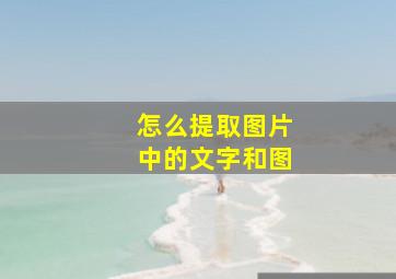 怎么提取图片中的文字和图