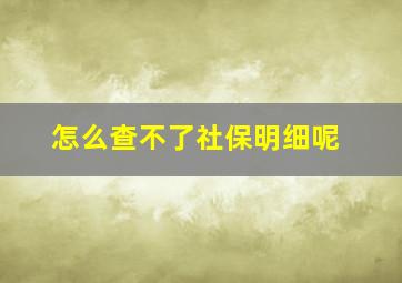 怎么查不了社保明细呢