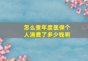 怎么查年度医保个人消费了多少钱啊