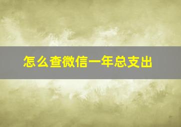 怎么查微信一年总支出