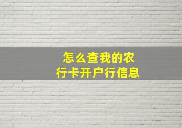 怎么查我的农行卡开户行信息