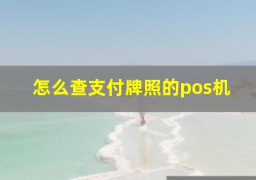 怎么查支付牌照的pos机