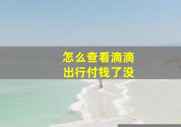 怎么查看滴滴出行付钱了没