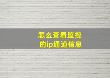 怎么查看监控的ip通道信息