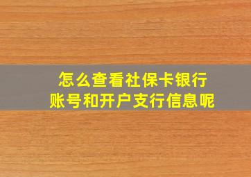 怎么查看社保卡银行账号和开户支行信息呢