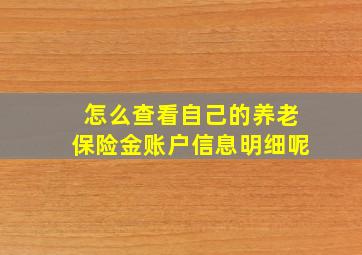 怎么查看自己的养老保险金账户信息明细呢