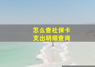 怎么查社保卡支出明细查询