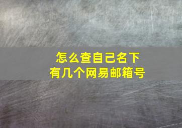 怎么查自己名下有几个网易邮箱号