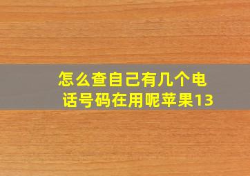 怎么查自己有几个电话号码在用呢苹果13