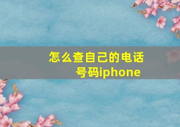 怎么查自己的电话号码iphone