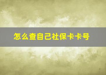 怎么查自己社保卡卡号