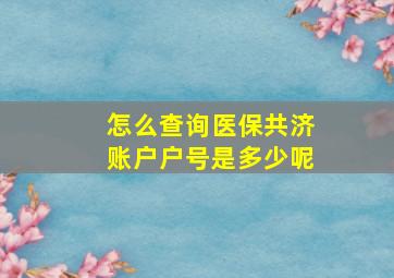 怎么查询医保共济账户户号是多少呢