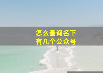 怎么查询名下有几个公众号