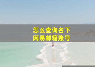 怎么查询名下网易邮箱账号