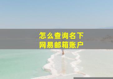 怎么查询名下网易邮箱账户