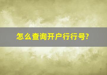 怎么查询开户行行号?