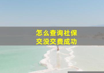 怎么查询社保交没交费成功