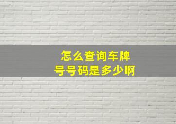 怎么查询车牌号号码是多少啊