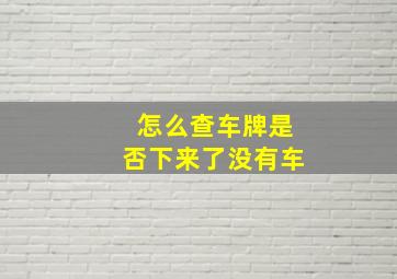 怎么查车牌是否下来了没有车