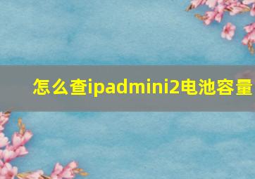 怎么查ipadmini2电池容量