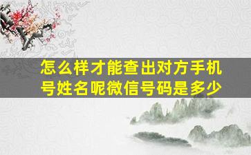 怎么样才能查出对方手机号姓名呢微信号码是多少