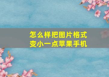 怎么样把图片格式变小一点苹果手机