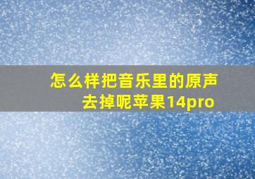 怎么样把音乐里的原声去掉呢苹果14pro