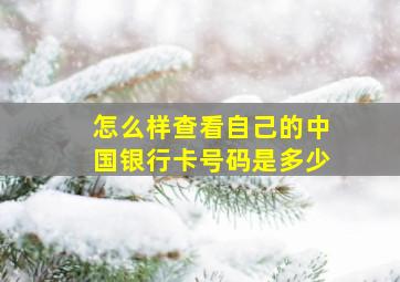 怎么样查看自己的中国银行卡号码是多少