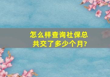 怎么样查询社保总共交了多少个月?