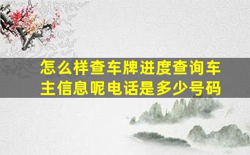 怎么样查车牌进度查询车主信息呢电话是多少号码