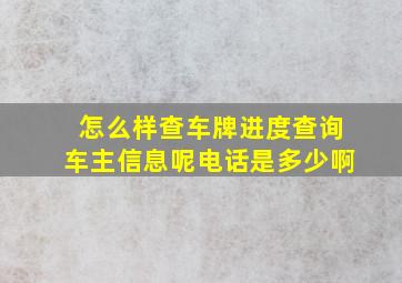 怎么样查车牌进度查询车主信息呢电话是多少啊