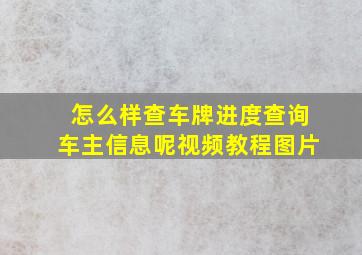 怎么样查车牌进度查询车主信息呢视频教程图片