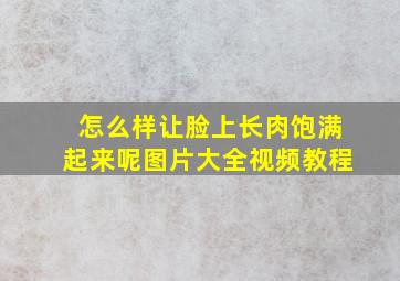 怎么样让脸上长肉饱满起来呢图片大全视频教程