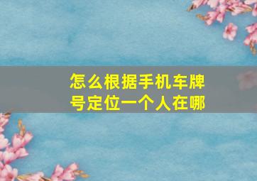 怎么根据手机车牌号定位一个人在哪