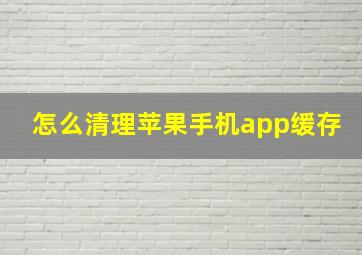 怎么清理苹果手机app缓存