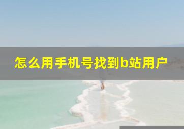 怎么用手机号找到b站用户