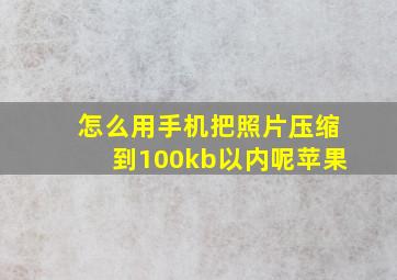 怎么用手机把照片压缩到100kb以内呢苹果