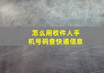 怎么用收件人手机号码查快递信息