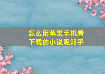 怎么用苹果手机看下载的小说呢知乎