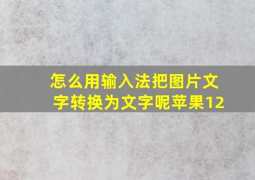 怎么用输入法把图片文字转换为文字呢苹果12