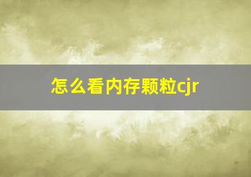 怎么看内存颗粒cjr