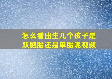 怎么看出生几个孩子是双胞胎还是单胎呢视频