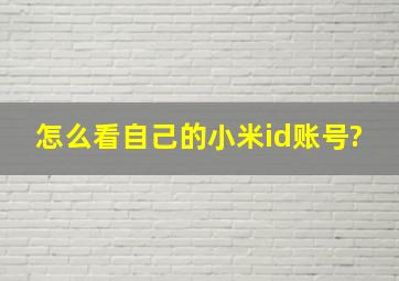 怎么看自己的小米id账号?