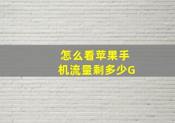 怎么看苹果手机流量剩多少G